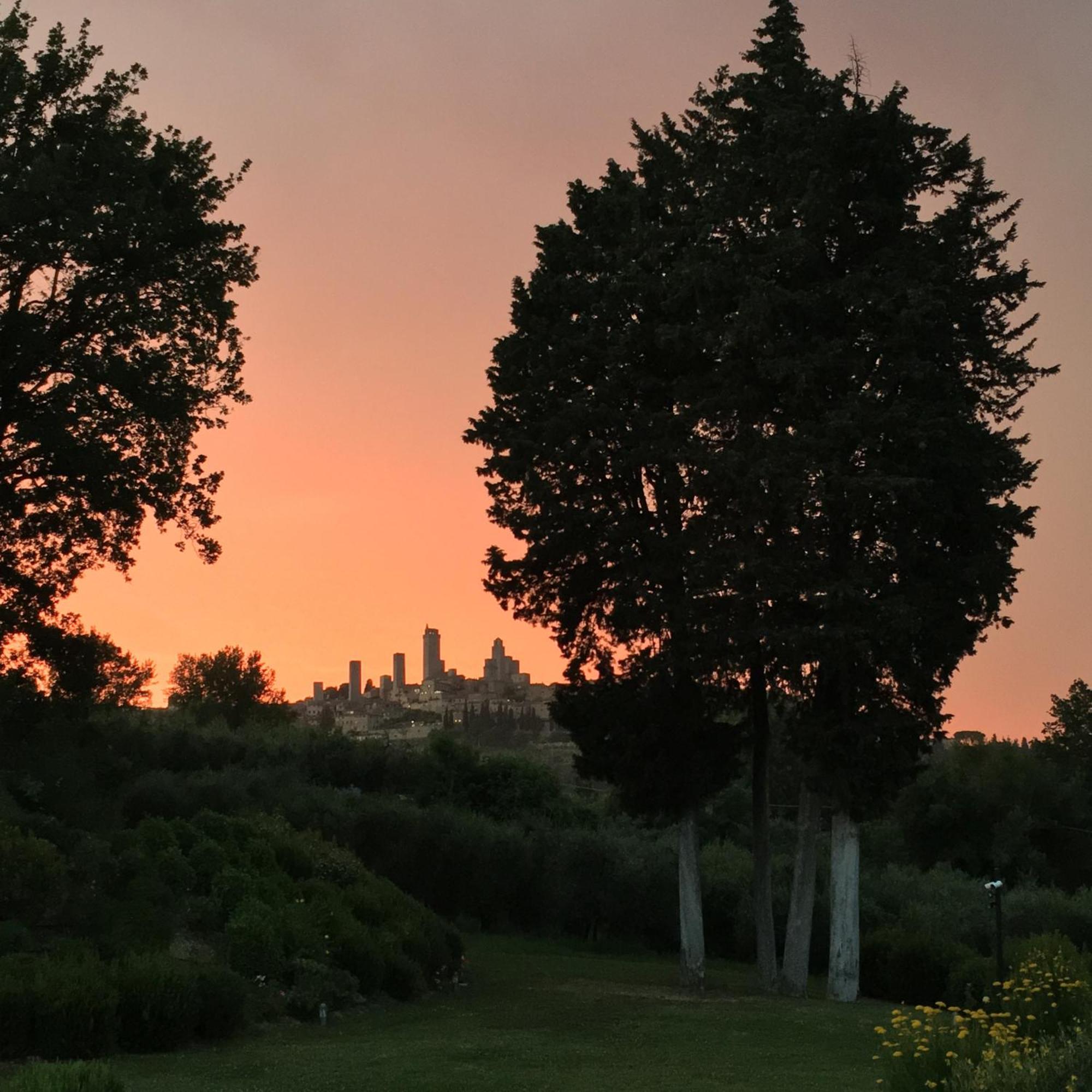 Tenuta Guardastelle - Agriturismo And Vineyard San Gimignano Eksteriør billede